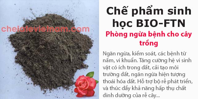 Chế phẩm sinh học BIO-FTN ngăn ngừa bệnh cho cây trồng